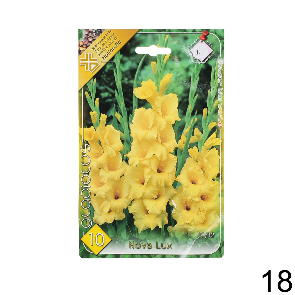 Zmes cibuľovín gladiolov v rôznych farbách.