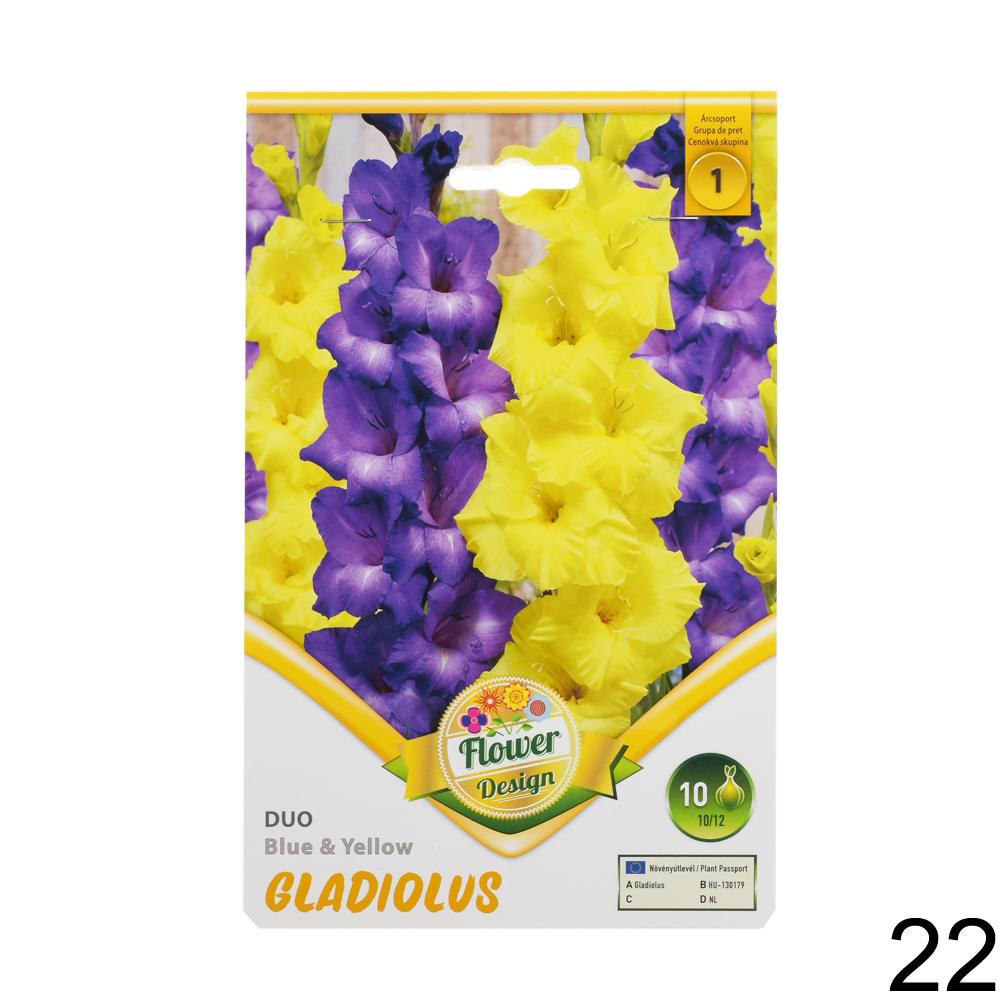 Zmes cibuľovín gladiolov v rôznych farbách.