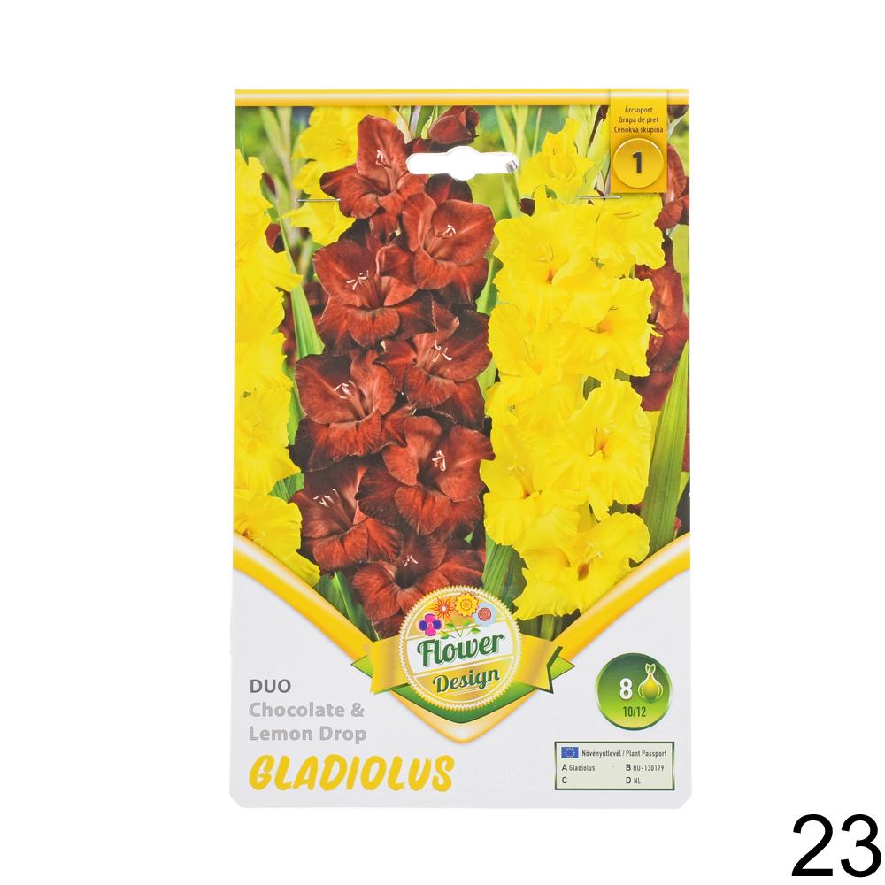 Zmes cibuľovín gladiolov v rôznych farbách.