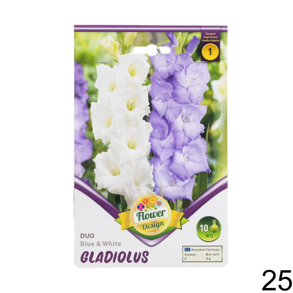 Zmes cibuľovín gladiolov v rôznych farbách.