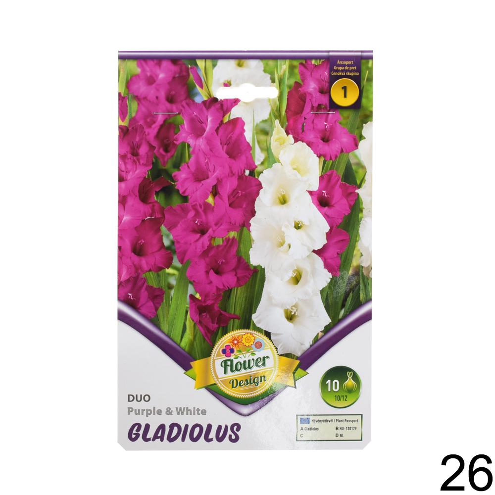 Zmes cibuľovín gladiolov v rôznych farbách.