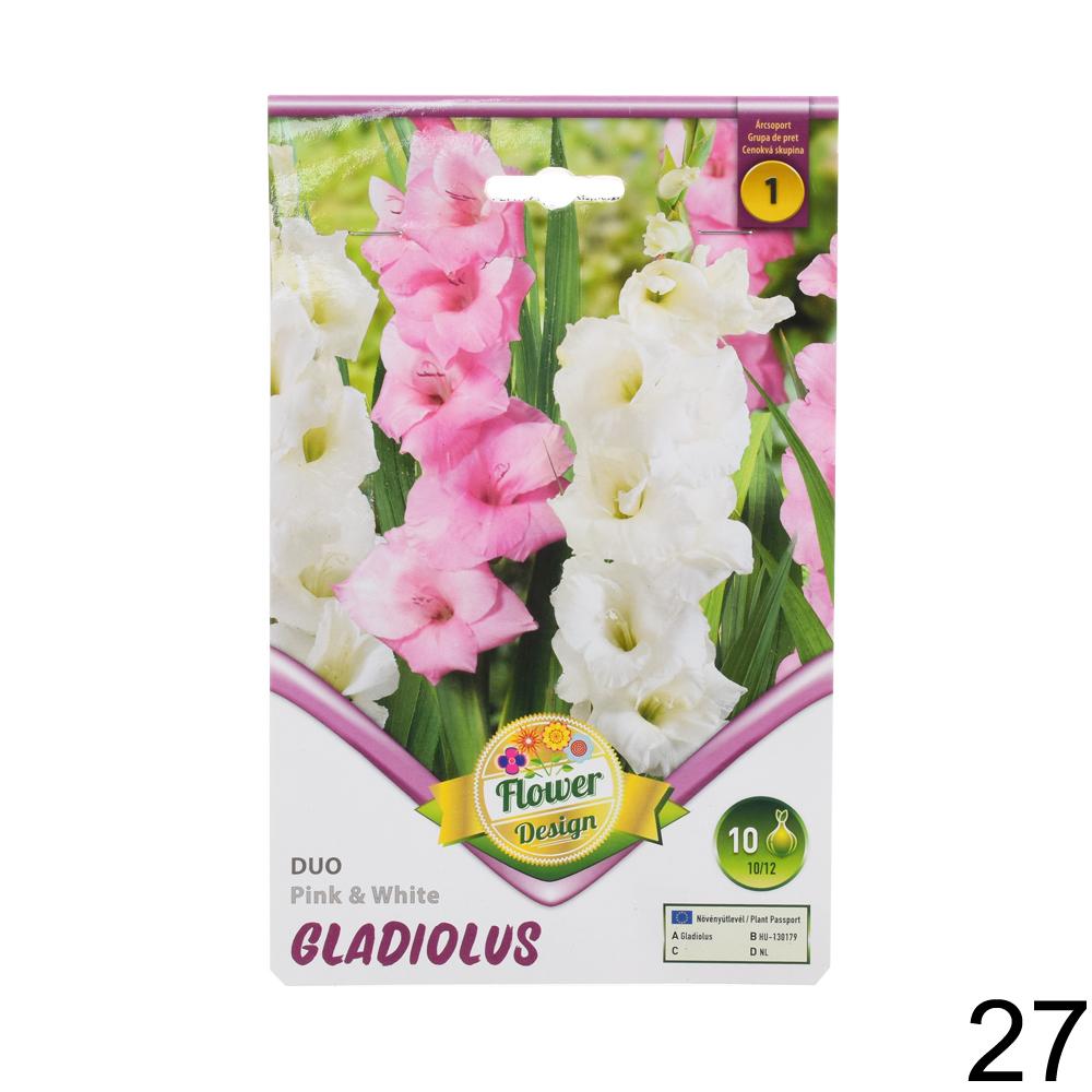 Zmes cibuľovín gladiolov v rôznych farbách.