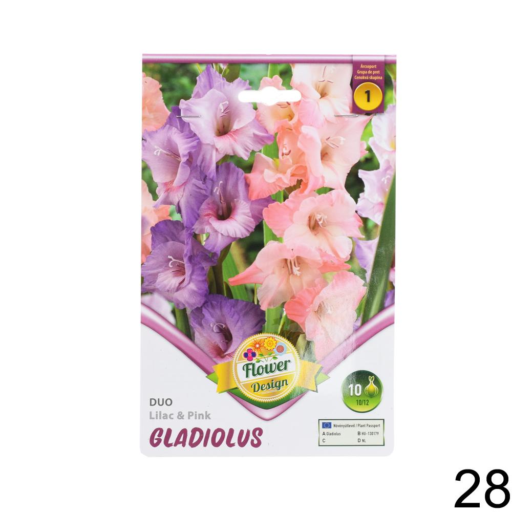 Zmes cibuľovín gladiolov v rôznych farbách.