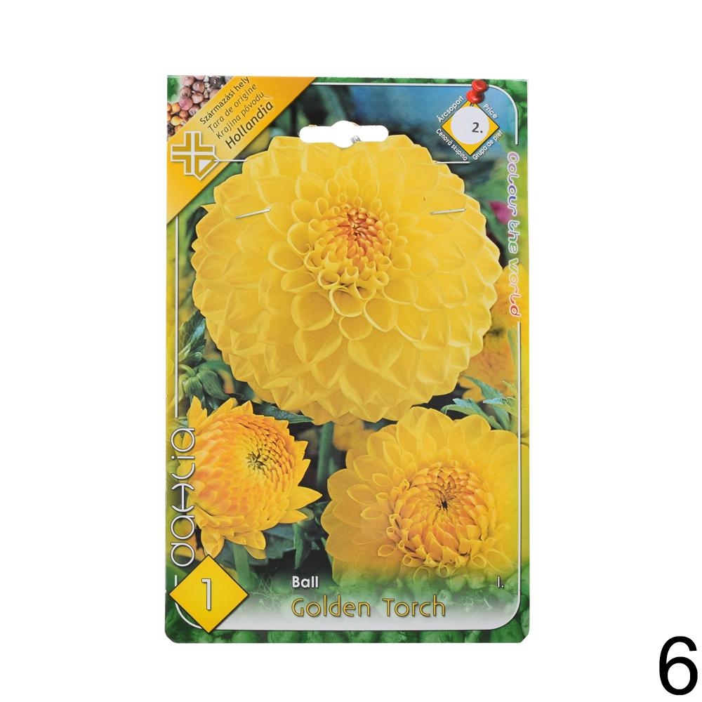 Zmes cibuľovín Dahlia pompon.