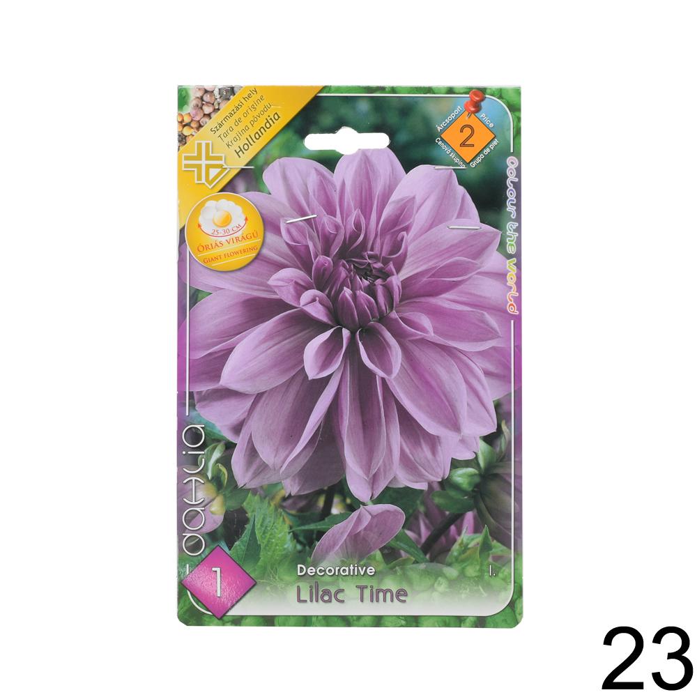 Zmes cibuľovín Dahlia pompon.