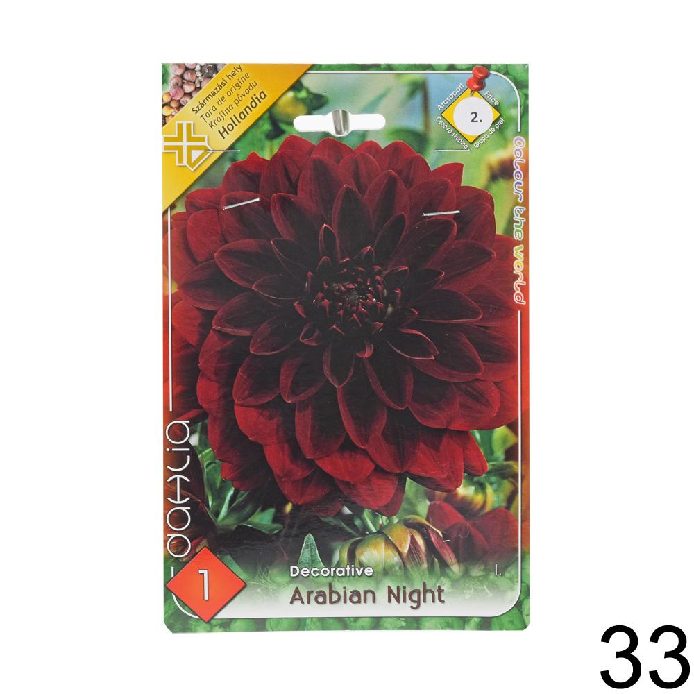 Zmes cibuľovín Dahlia pompon.