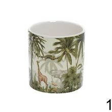 Obal Safari s exotickými zvieratami a rastlinami.