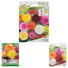 Zmes cibuľovín Dahlia, 5 kusov.