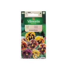 Semená fialky veľkokvetnej Švajčiarskej Germánskej Rococo 0,4g