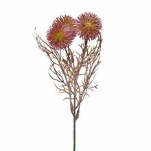 ZÁPICH BODLIAK RUŽOVÁ 24cm - FLORASYSTEM