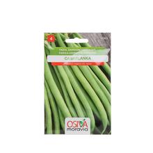 Semená fazule Casablanca kríčková zelená 20g