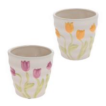 OBAL TULIPÁN MIX FARBA 12XV12CM - FLORASYSTEM