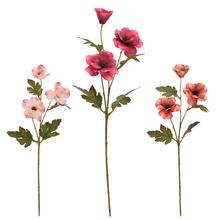 KS MAGNÓLIA MIX/3 69CM - FLORASYSTEM