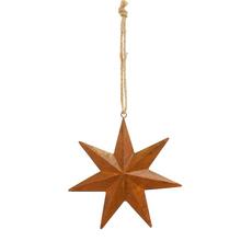 ZÁVES HVIEZDA HRDZAVÁ, KOV 12*12*2CM - FLORASYSTEM
