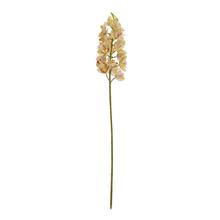 KS ORCHIDEA 80CM SVETLO ZELENO-RUŽOVÁ - FLORASYSTEM