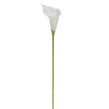 KS CALLA BIELA 70CM - FLORASYSTEM