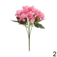 Kytica hydrangea mix s rôznymi farbami.