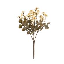 KYTICA KAMILKY BIELE 25CM - FLORASYSTEM