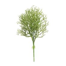 ZELEŇ KORÁL ZELENÝ 40CM - FLORASYSTEM