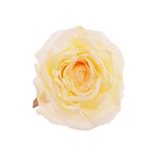 HLAVA RUŽA BIELA  PRIEM:6CM BAL:36KS - FLORASYSTEM