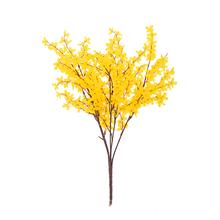 KONÁR ZLATÝ DÁŽĎ 53CM - FLORASYSTEM