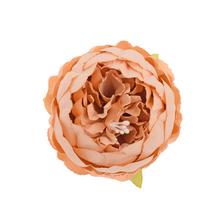 Hnedá hlava pivonky s jemnými detailmi.