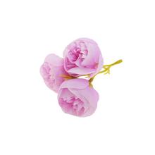 HLAVA RANUNCULUS FIALOVÝ 3-PUKY P:3CM BAL:36KS - FLORASYSTEM