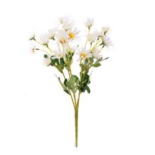 KYTICA MARGARÉTKA BIELA 36CM - FLORASYSTEM