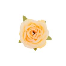 HLAVA RUŽA ŽLTÁ 5CM (BAL36KS) - FLORASYSTEM