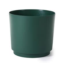 Okrúhly obal na kvety v avokádovej farbe.