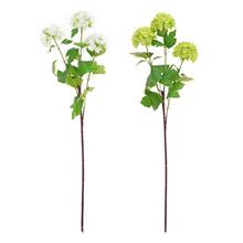 KONÁR VIBURNUM MIX/2F 65CM - FLORASYSTEM