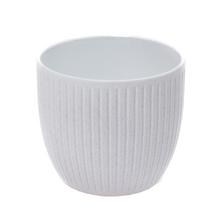 OBAL BELICE COCONUT 14CM - FLORASYSTEM