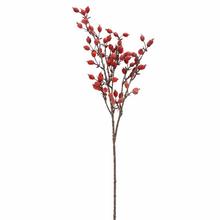 KONÁR ŠÍPKY BORDOVÉ 65CM - FLORASYSTEM