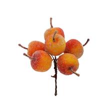 ZÁPICH JABĹČKA ŽLTO-ORANŽOVÉ S/6 13CM - FLORASYSTEM