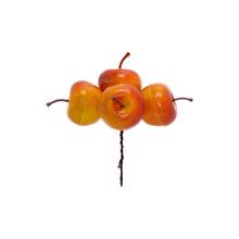 ZÁPICH JABĹČKA ŽLT-ORANŽOVÉ S/4 13CM - FLORASYSTEM