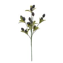 ZÁPICH OLIVA ZEL/MOD 36CM - FLORASYSTEM