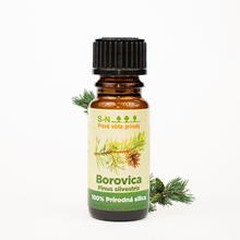 Esenciálny olej Borovica v sklenenej fľaštičke.