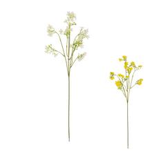 KONÁR OXYPETALUM ŽLT/BIE MIX/2F 64CM - FLORASYSTEM