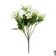 Kytica anemone s lúčne kvety v mixe farieb.