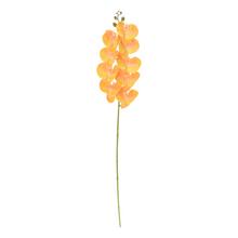KS ORCHIDEA PHALAENOPSIS ŽLTÁ 100CM - FLORASYSTEM