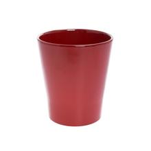 OBAL ORCH.MERINA CANDY BORDEAUX 18Xš.16CM - FLORASYSTEM