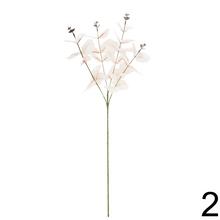 Konár eukalyptu Cinerea 4F 60CM v rôznych farbách.