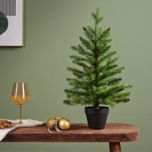 Mini vianočný stromček Alison s výškou 75 cm.