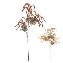 KONÁR AMARANTUS MIX/2F 80CM - FLORASYSTEM