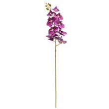KS ORCHIDEA PHALAENOPSIS FIALOVÁ 95CM - FLORASYSTEM