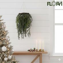 Závesná čečina s tujou, zelená, 30x30x70 cm.