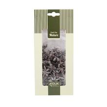 STAR ANISE NATURE SILVER-WASH 10X5X22CM - FLORASYSTEM