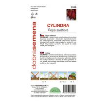 Semená cvikly podlhovastej cylindrickej formy BIO.