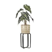 Stojan na kvety v saténovej čiernej farbe.