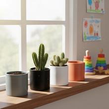 Obal na kaktus v rôznych farbách